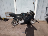 Rocky Midsize Mini Bike 2018 Model