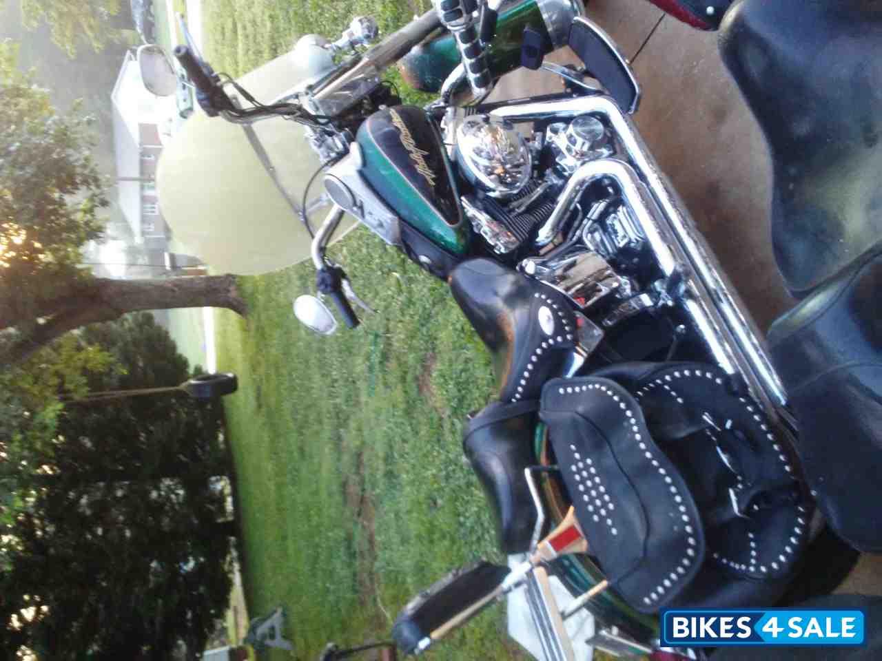 Hunter Green Harley Davidson Heritage Softail