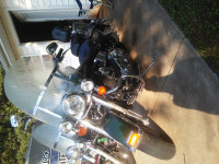 Hunter Green Harley Davidson Heritage Softail