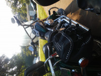 Hunter Green Harley Davidson Heritage Softail