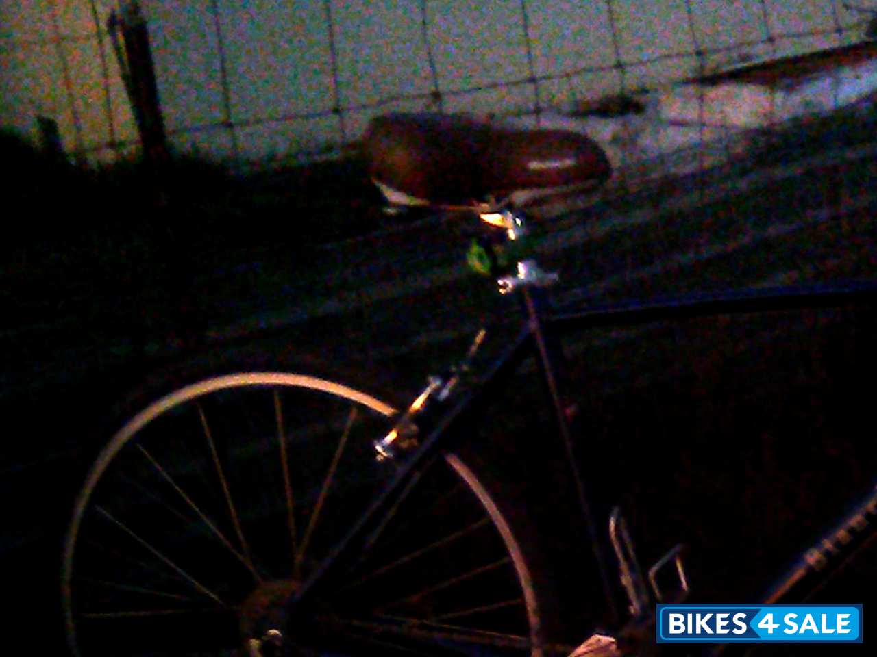 Mediterranean Blue Matt Bianchi Cortina