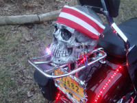 Vivid Black Harley Davidson Superglide FXDC