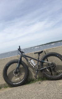 Felt DD70 2020 Model