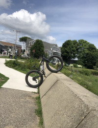 Char Frost Felt DD70