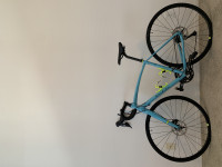 Teal Raleigh Revere2