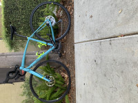 Teal Raleigh Revere2