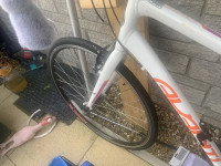 Avanti F1 womans road bike