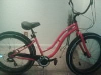 Sun Bicycle Baha Cruise 2020 Model