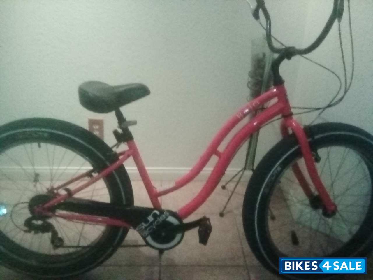 Sun Bicycle Baha Cruise