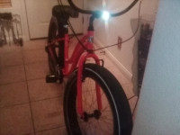 Sun Bicycle Baha Cruise