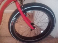 Sun Bicycle Baha Cruise