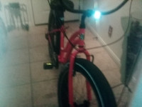 Sun Bicycle Baha Cruise