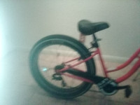 Sun Bicycle Baha Cruise