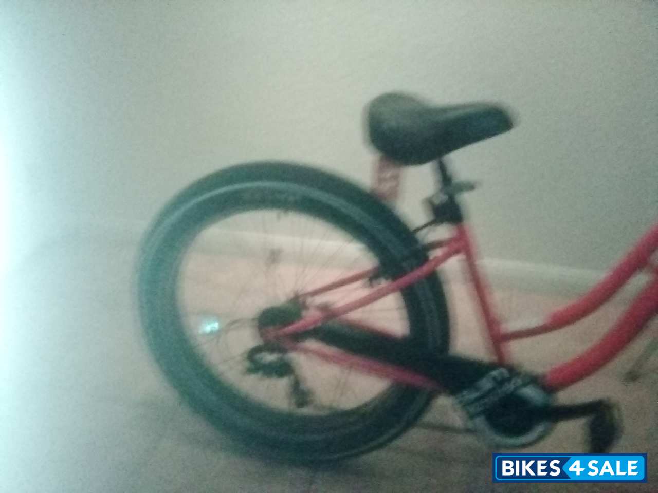 Sun Bicycle Baha Cruise