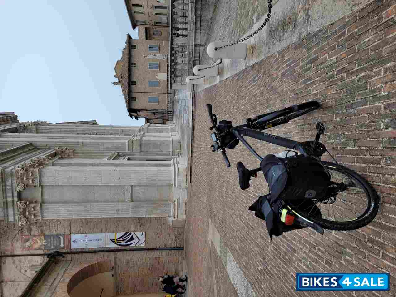 Grey Italwin Trail Ultra ebike