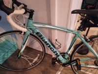 Bianchi Nirone7