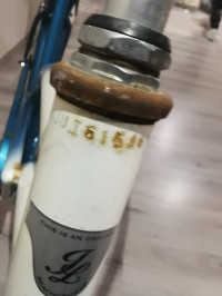 Johnny Loco Beach Cruiser