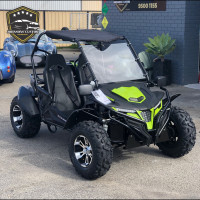 Thumpstar SX300 Buggy