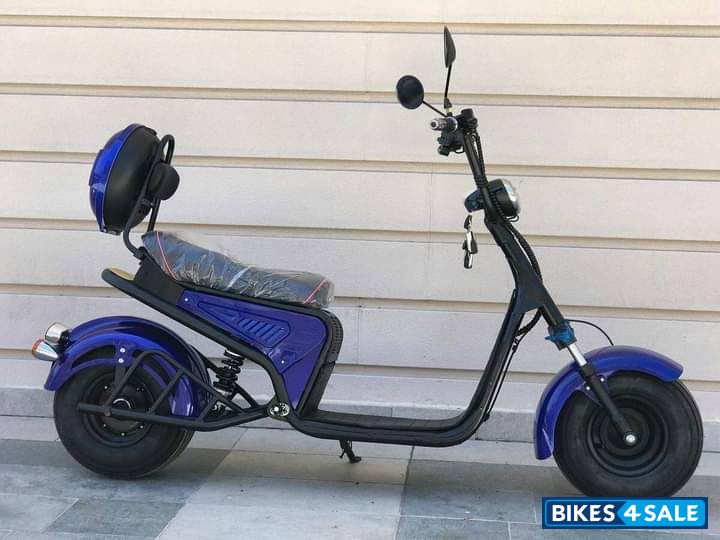 Electric bike Citycoco 3000w electric bike