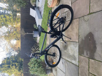 Black Furo Aventa max