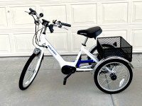 White / Blue Raleigh Tristar E-Trike