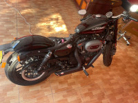 Harley Davidson 2020