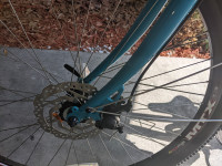 Blue Zize Bikes 29er Max 2.0
