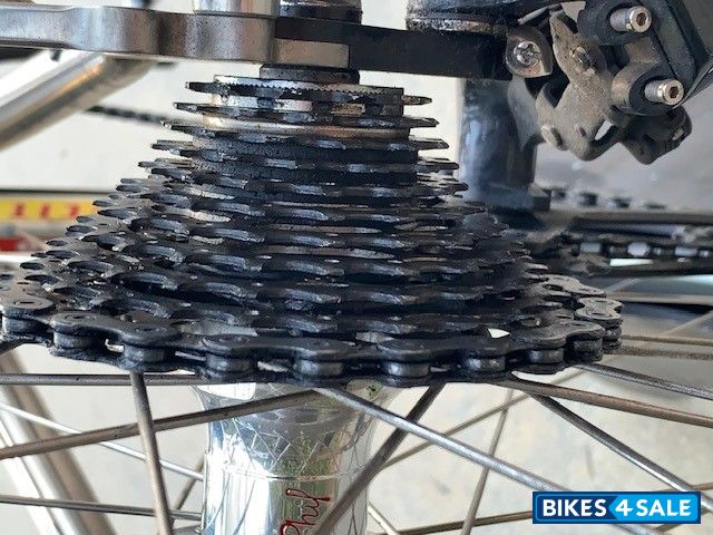 TiCycles Custom Titanium Tandem