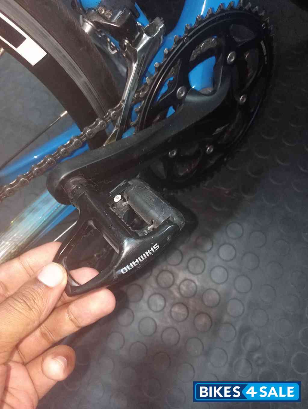 Domina Fondriest Blue Tech Domina Fondriest Blue Tech