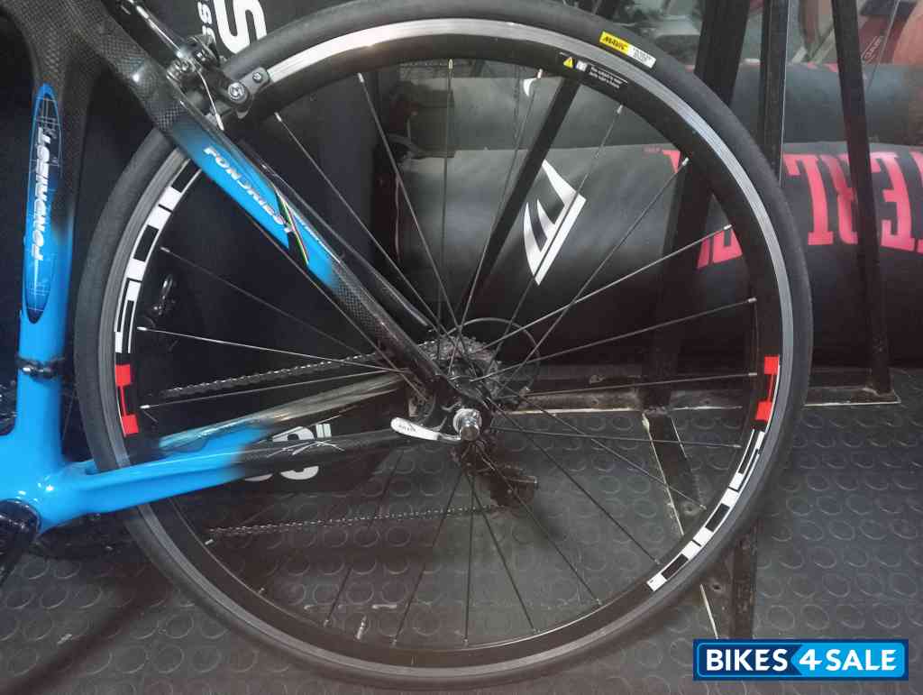Domina Fondriest Blue Tech Domina Fondriest Blue Tech