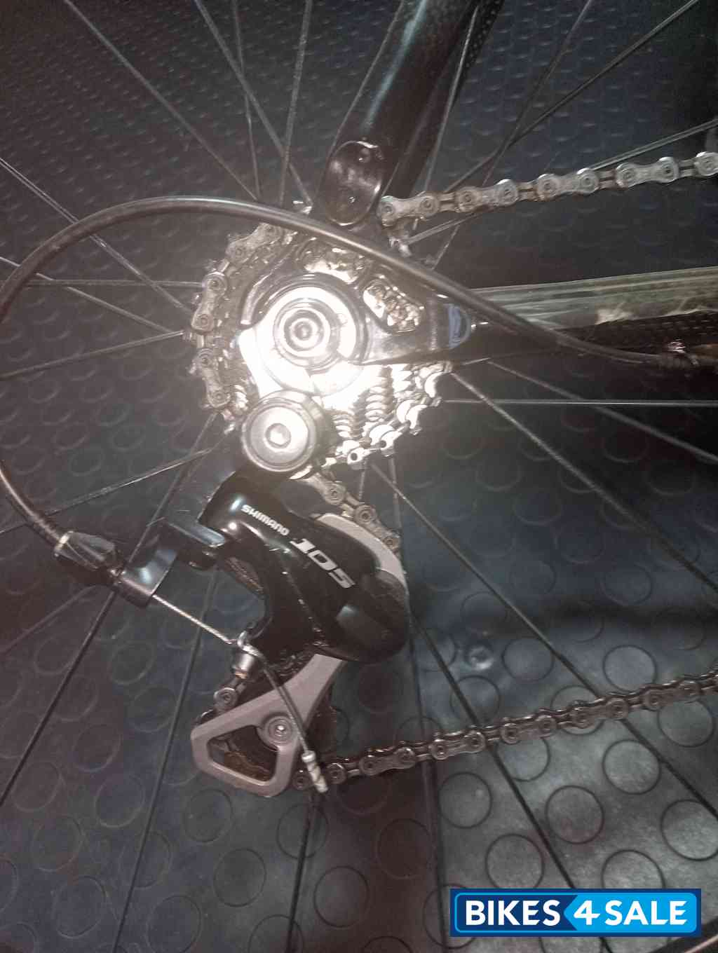 Domina Fondriest Blue Tech Domina Fondriest Blue Tech