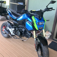 Blue/green HONDA GROM