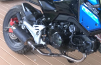 Blue/green HONDA GROM