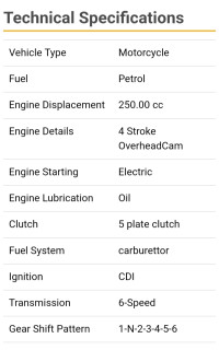 Braaap Moto3 Sports 2021 Model