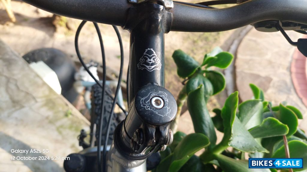 Siver 26 Silverback Oakkland