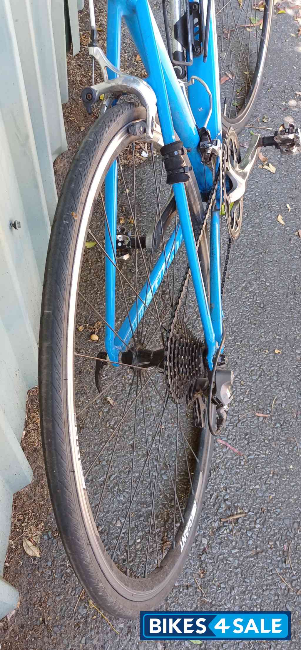 Blue Giant Allux Defy SL ROAD BIKE