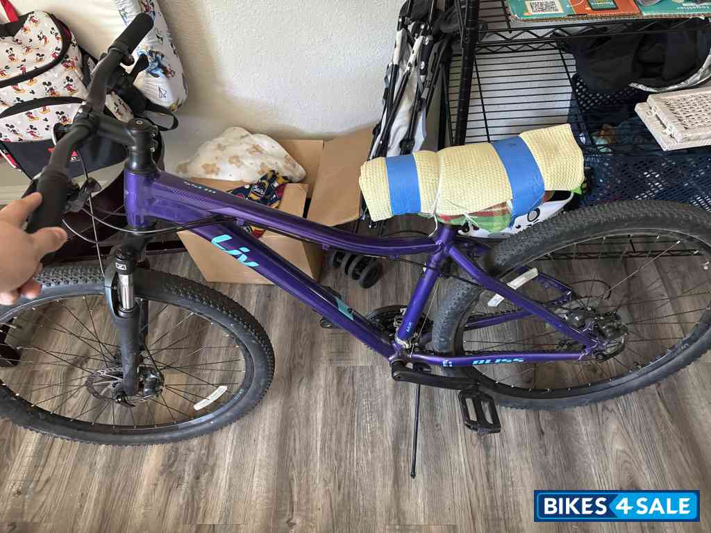 Ultra Violet/light Blue Bliss 3