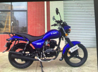 Salti 200DD-6 2024 Model