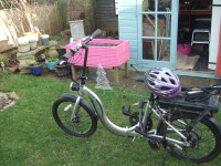 INSYNC CIRCUIT 2022 Model