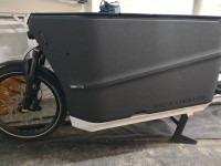 Riese & Muller Packster 70 Vario