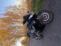 Kawasaki Ninja 300 ABS