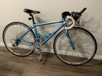 Specialized Dolce E5 2008 Model