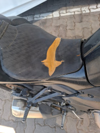 Black Kawasaki Z1000