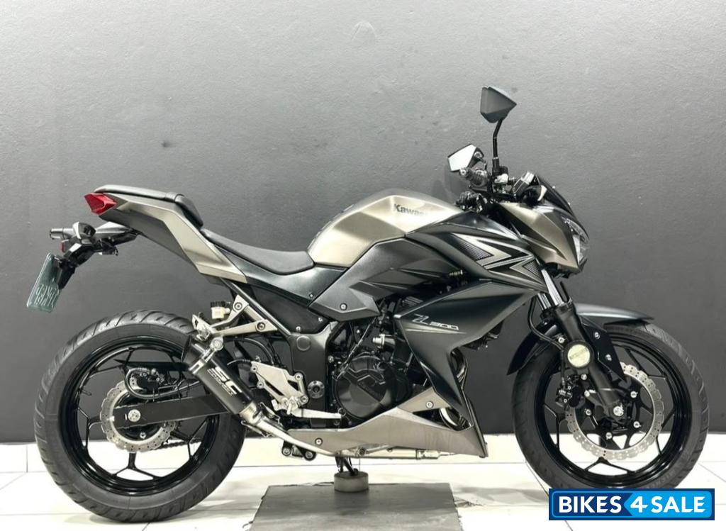 Kawasaki Z3000