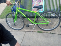 Schwinn S4090TGA 2009 Model