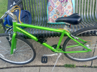 Green Schwinn S4090TGA