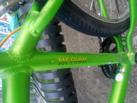 Green Schwinn S4090TGA