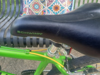 Green Schwinn S4090TGA