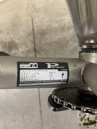 Silver Specialized P Street