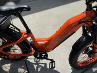 Orange E-Cells Monarch 1500 AWD
